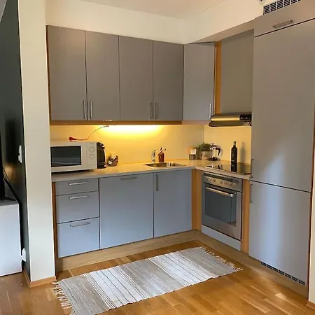Romslig Og Sentral Leilighet! Apartment *